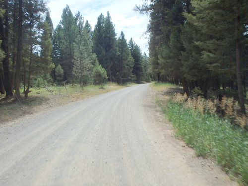 GDMBR: Heading south on NF-89 (from Lolo NF toward Ovando, Montana).